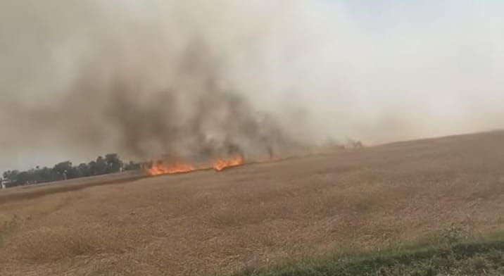 किसानों की महीनों की मेहनत और पूंजी कुछ ही मिनटों में जलकर खाक