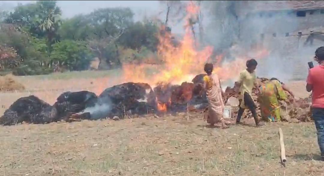 बच्चों ने खेल-खेल में लगाई आग, खलिहान में रखें 100 बोझा गेहूं जलकर खाक